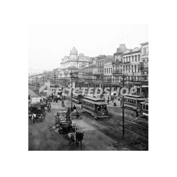 New Orleans Canal Street Vintage Photo 1901